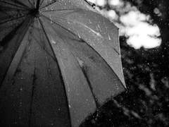 [AFTERLIFE] 雨中(우중)에