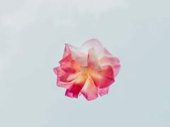 [마블_다수 드림] 마법세계X마블세계