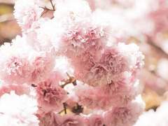 [마블_피터 파커 드림] 연하의 매력