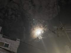 나를 정의하는 것.