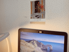 방 청소를 할 것.