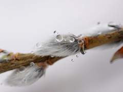 홍예虹霓, 07 [完]