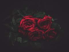 [Aran/17禁] 밤의 시작