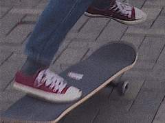 망각은 궁극의 거짓말이다