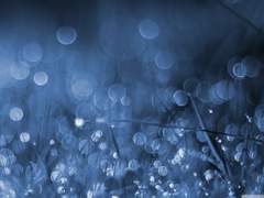 [망기무선] 연(蓮)과 연(緣) - 외전 2. 집