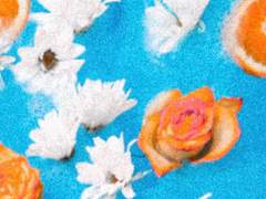 214호 SUNNY쌤의 영어교실