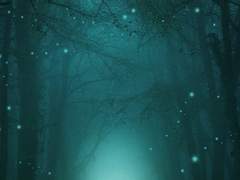 쌍충 바레데샹바레, 향연