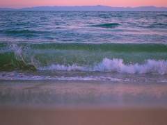 현제유진-마피아보스× 스파이