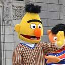Good Bert