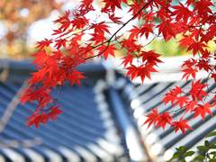 [망기무선/망무] 비밀낙원(1)