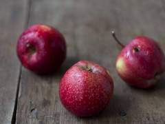 [설양성진] 破果