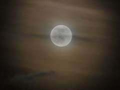 흘러가듯 떠나보내며 살라 하며 이름 지은 것이