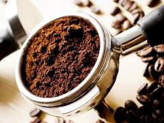 다크빈즈 모닝 사바트