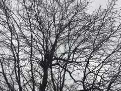 우리의 마지막 겨울은