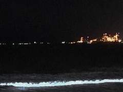 그물 속 아틀란티스