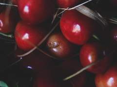 미오 지오 (Mio Zio)