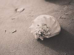 [랩슈] Blue Hole 04