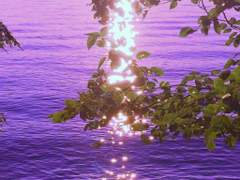 포타 운영 관련 드리는 말씀