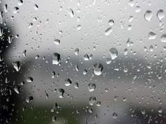 커피아노 (Coffee-Ano) 4