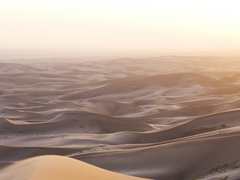 메유, 포도주, 첫사랑