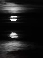 [망기무선] 연(蓮)과 연(緣) - 完