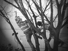 Discard color information?