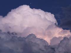 [달국여난] Dolphin!