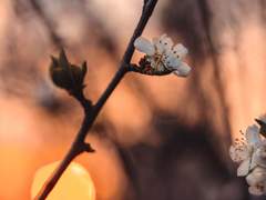 [목상/일상] Now and Then #1