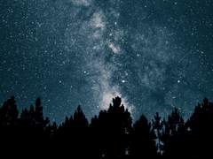 [백업] 린하르트 지원회화 S (결혼)