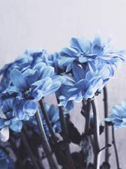 #수달필모_드림