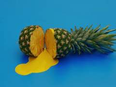 수영장 오필리아 11