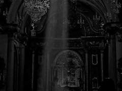 재앙 속에서 살아가는 우리들은