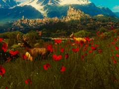 [주간퀘스트 - 각오 : 알만에서부터 협곡까지 ]