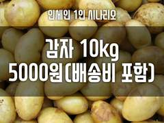 [inSANe] 감자 10kg 5000원(배송비 포함) 20.05.10 업데이트