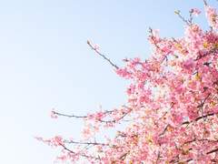 [촉문루/윱른] 운명의 반역자