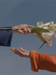 Poem Becoming Poetry