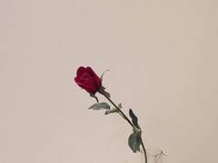 권태의 정석 下