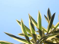 세상이 너를 사랑함은.