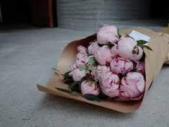 커피아노 (Coffee-Ano) 7