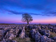 UTOPIA - 2. 지옥의 서막