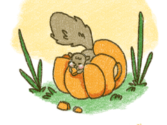 December 13 2019 (방학한 날)