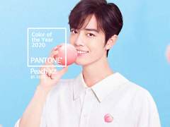 color of the Year 왕샤오 🍊🍑