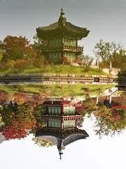 드라마 뿌리깊은 나무