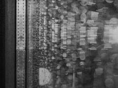 빗속, 여린 상흔 프롤로그 - 일상