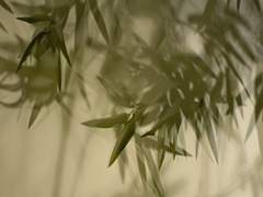 [승수경민] Say my name