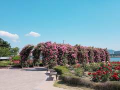 날 미워하는 당신에게 1