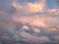 여름과 가을의 모호한 경계