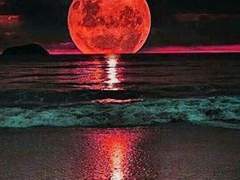 명탐정코난 썰 AU 반전의 세계