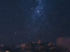 위선과 양심의 경계에서