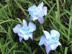 [국슙] 팀장님? 팀장님!